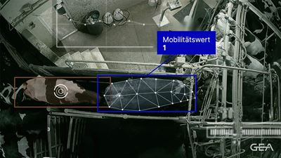 CattleEye Mobilitätswert