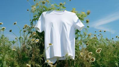 White t-shirt, blue sky, greens