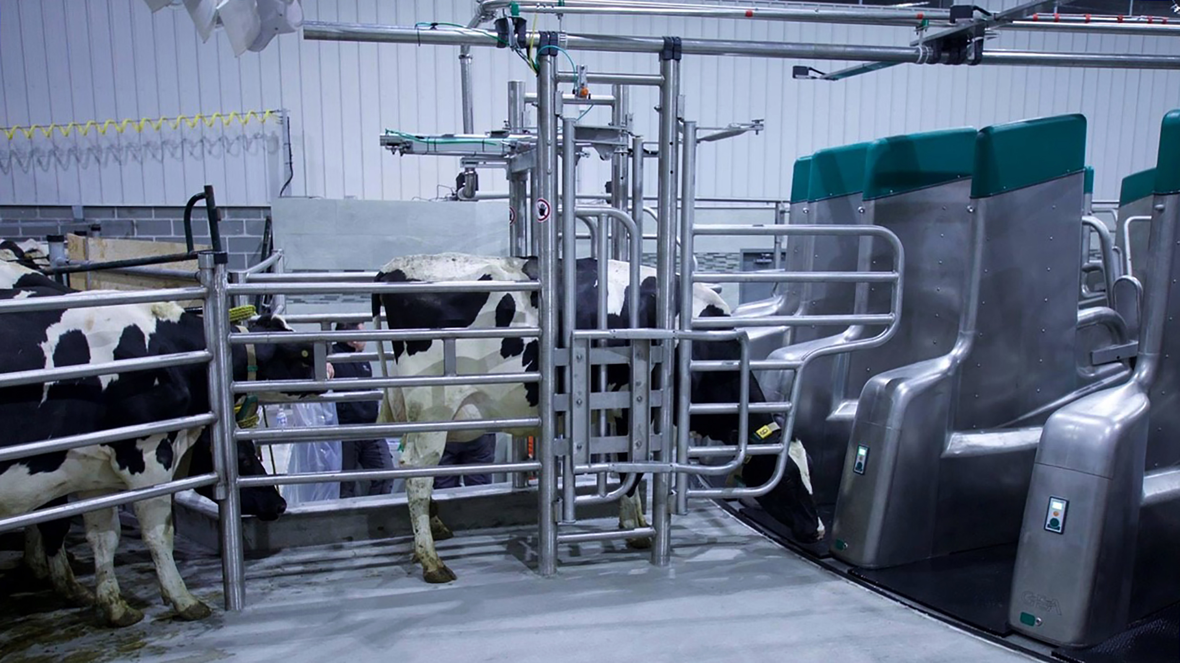 gea dairyproq vyefield farm canada