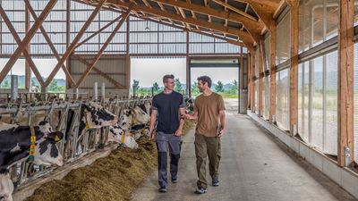Dairy Farming