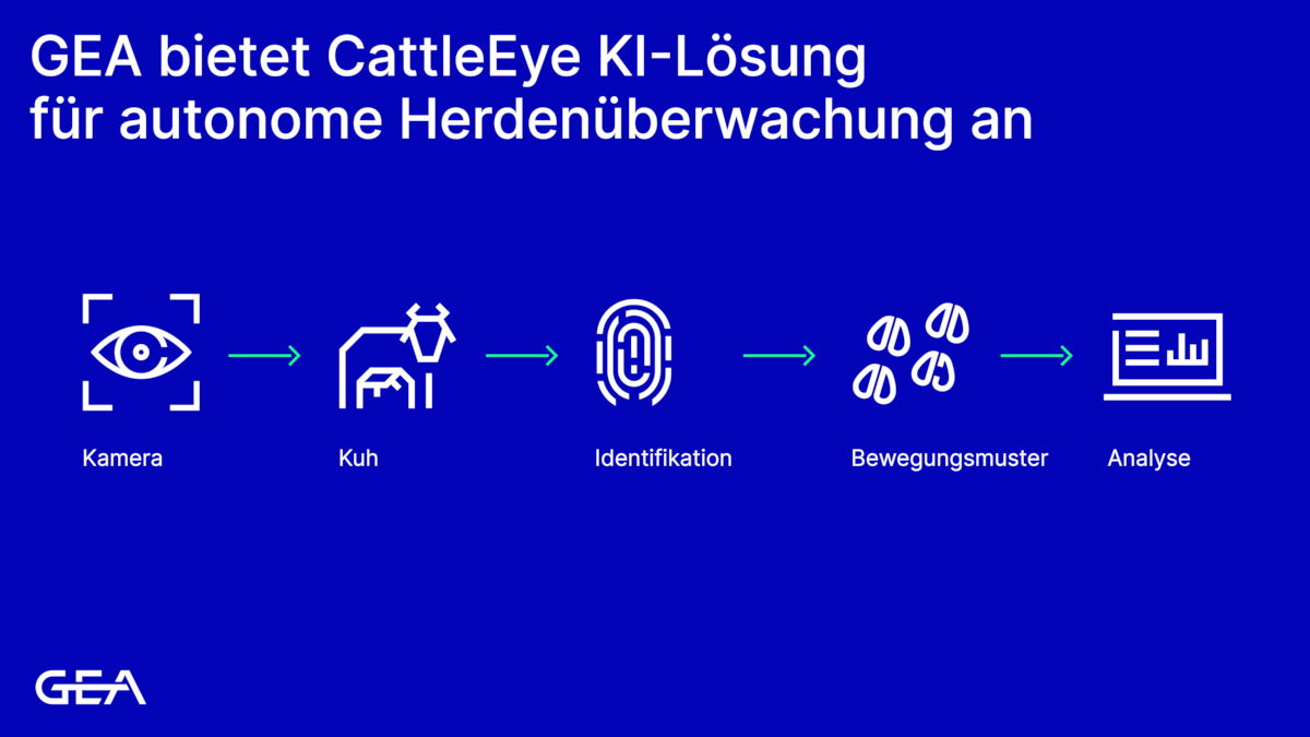 GEA übernimmt CattleEye und erweitert sein Portfolio um eine bewährte KI-Lösung