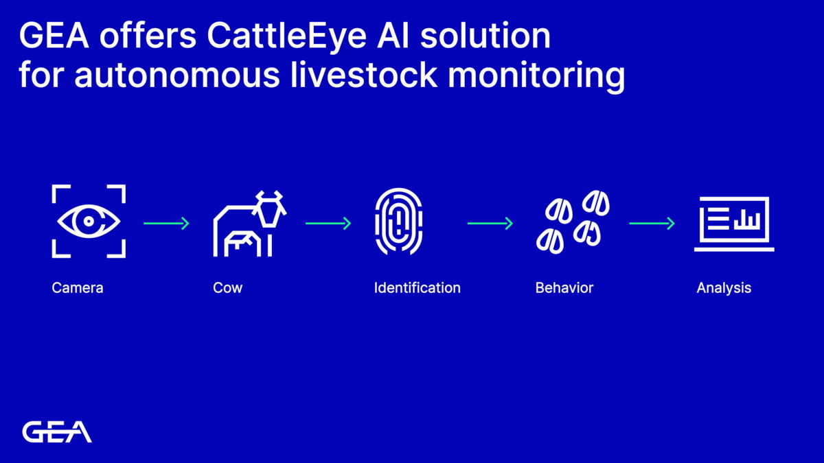 GEA acquires CattleEye and adds the proven AI solution to its portfolio