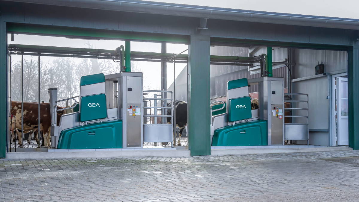 Image: GEA DairyRobot R9500 milking robot on a dairy farm in Germany