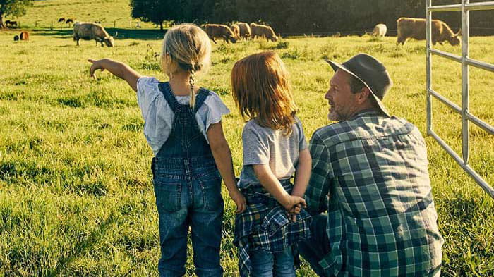 Dairy farming in Australia