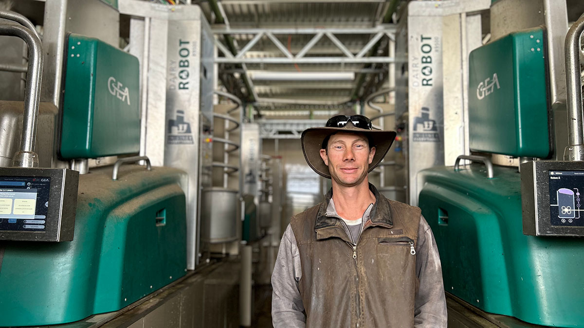 Farmer Nigel McNeil with GEA DairyRobot R9500s