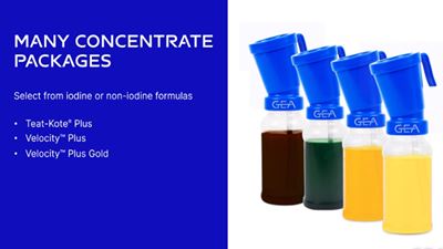 GEA "Plus" Concentrate Teat Dips