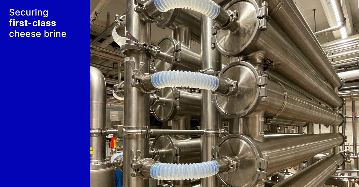Securing first-class cheese brine