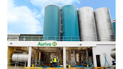 Aurivo