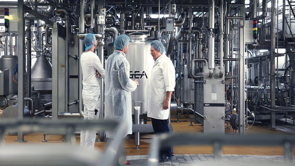 A future-proof cheese factory