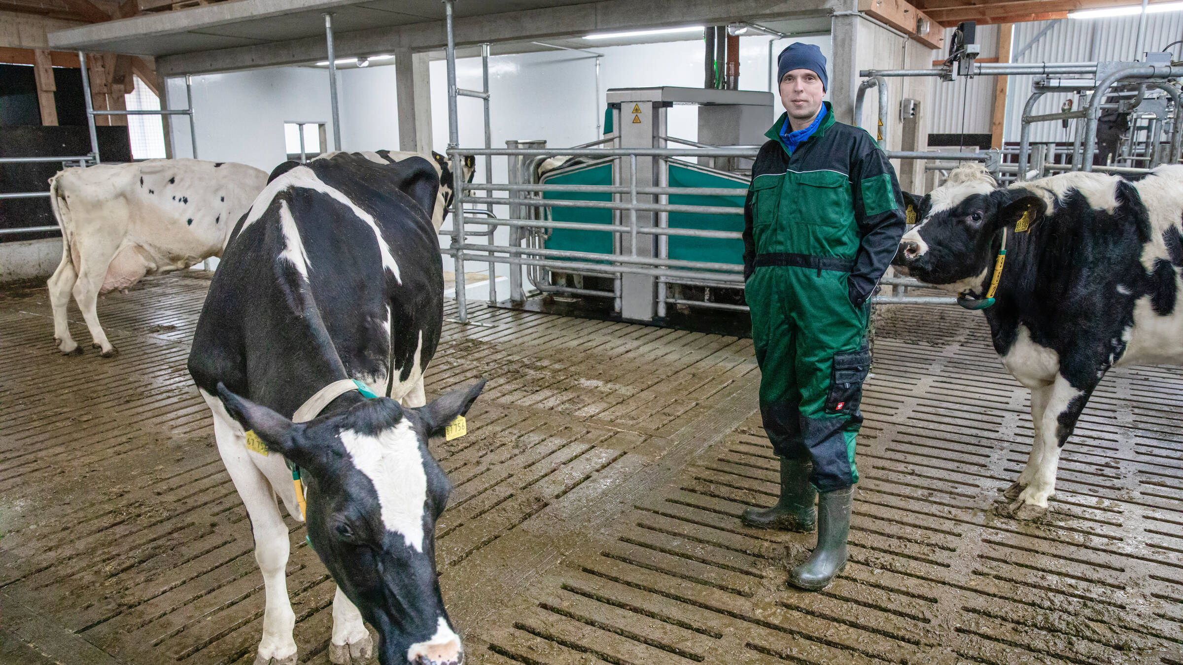 DairyR9500, Farmer, cow, barn, automatic milking