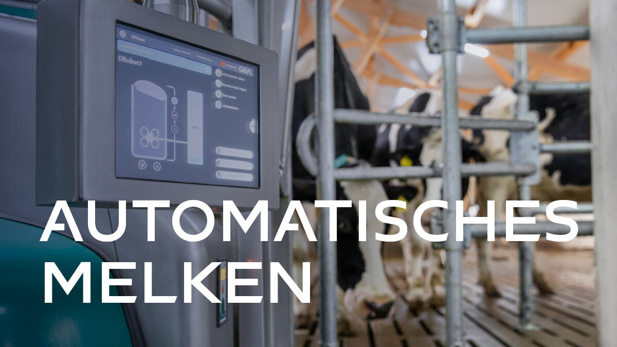 Automatisches Melken