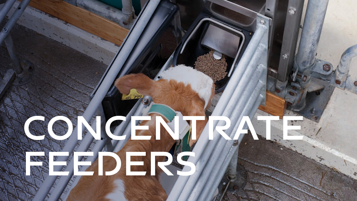 Concentrate Feeders