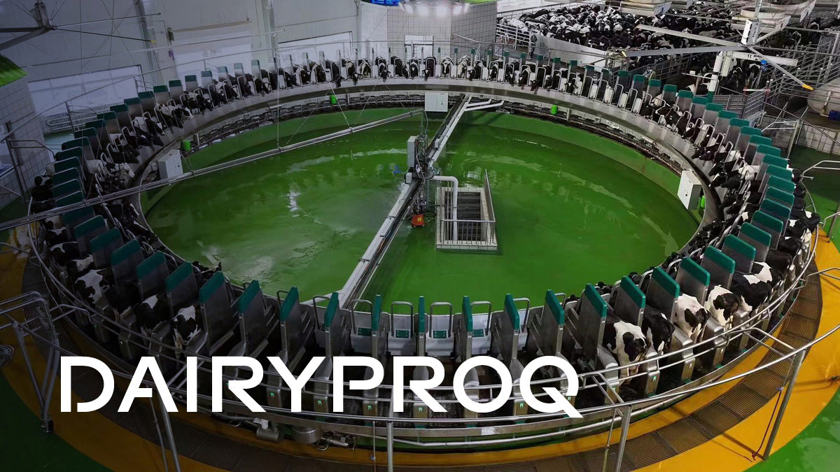 DairyProQ