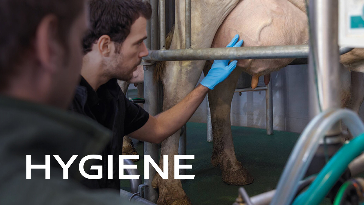 Hygiene