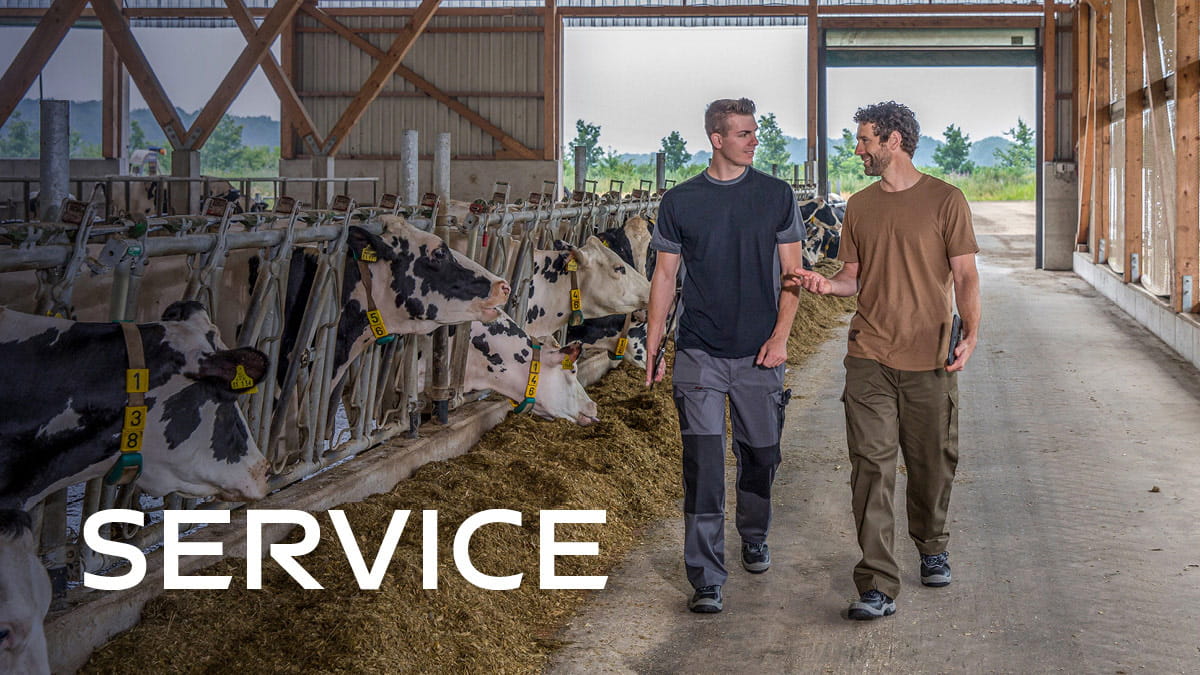 Service