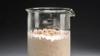 Fermentation-derived ingredients