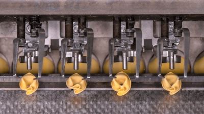 fresh-pasta-tortello