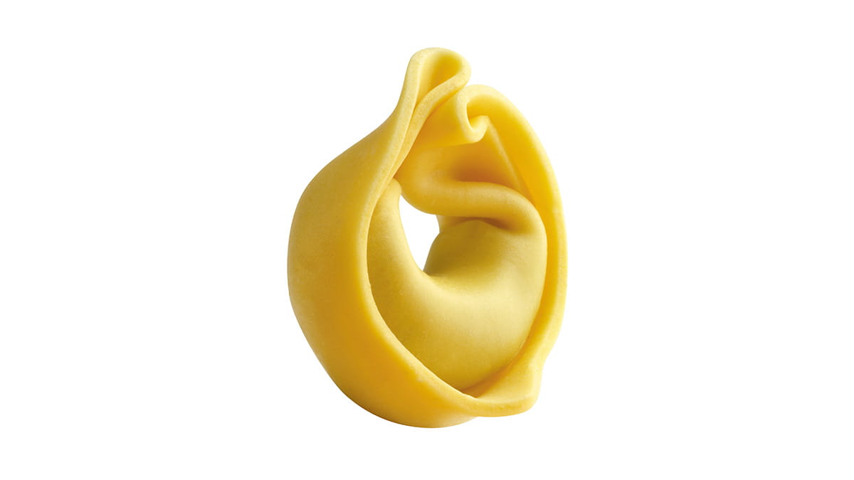 fresh pasta tortellini single sheet
