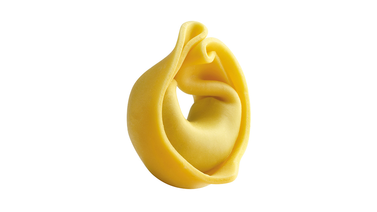 fresh pasta tortellini single sheet