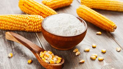 Starch & Proteins - Modified starch