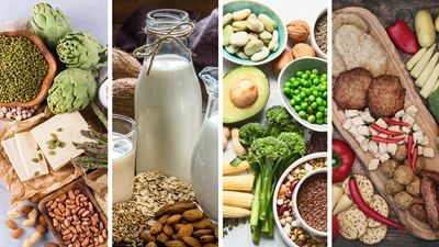 GEA Technologien für Protein auf Pflanzenbasis