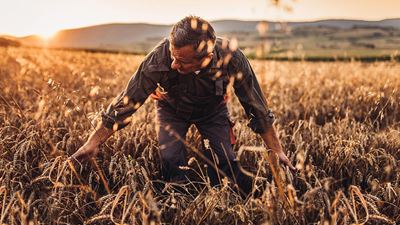 Sustainability - for a better tomorrow