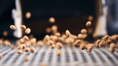 Dry petfood