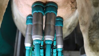 DairyRobot R9500 EDITION 2021
