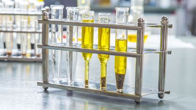 Extraction decanter