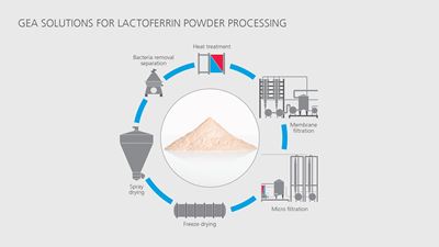 Lösungen für die Verarbeitung von Lactoferrin-Pulver