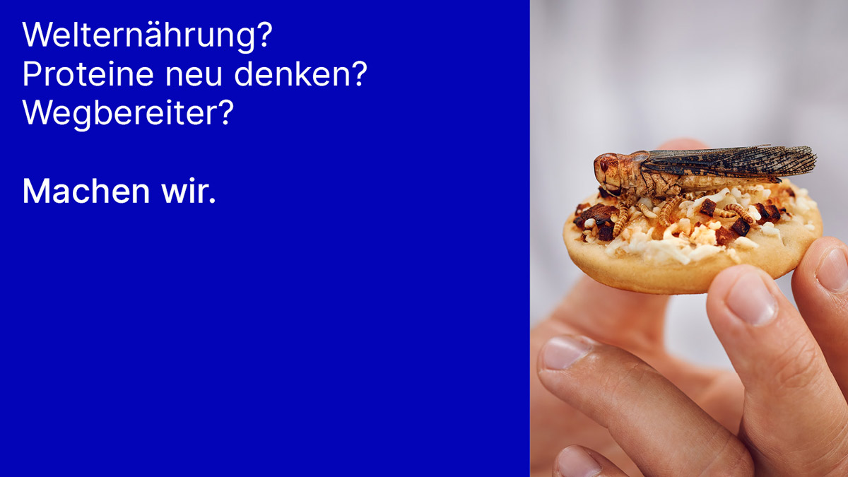 Proteine neu denken