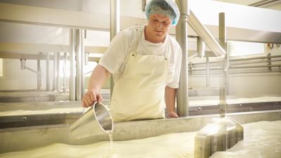 Sustainability shapes your dairy business