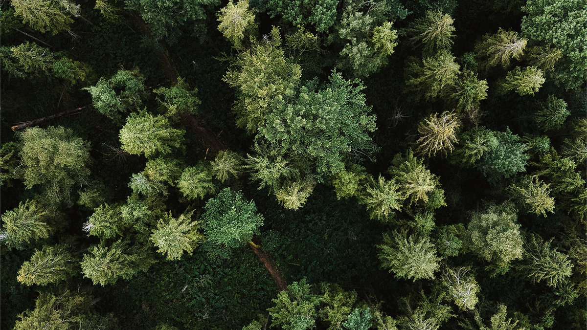 Sustainability