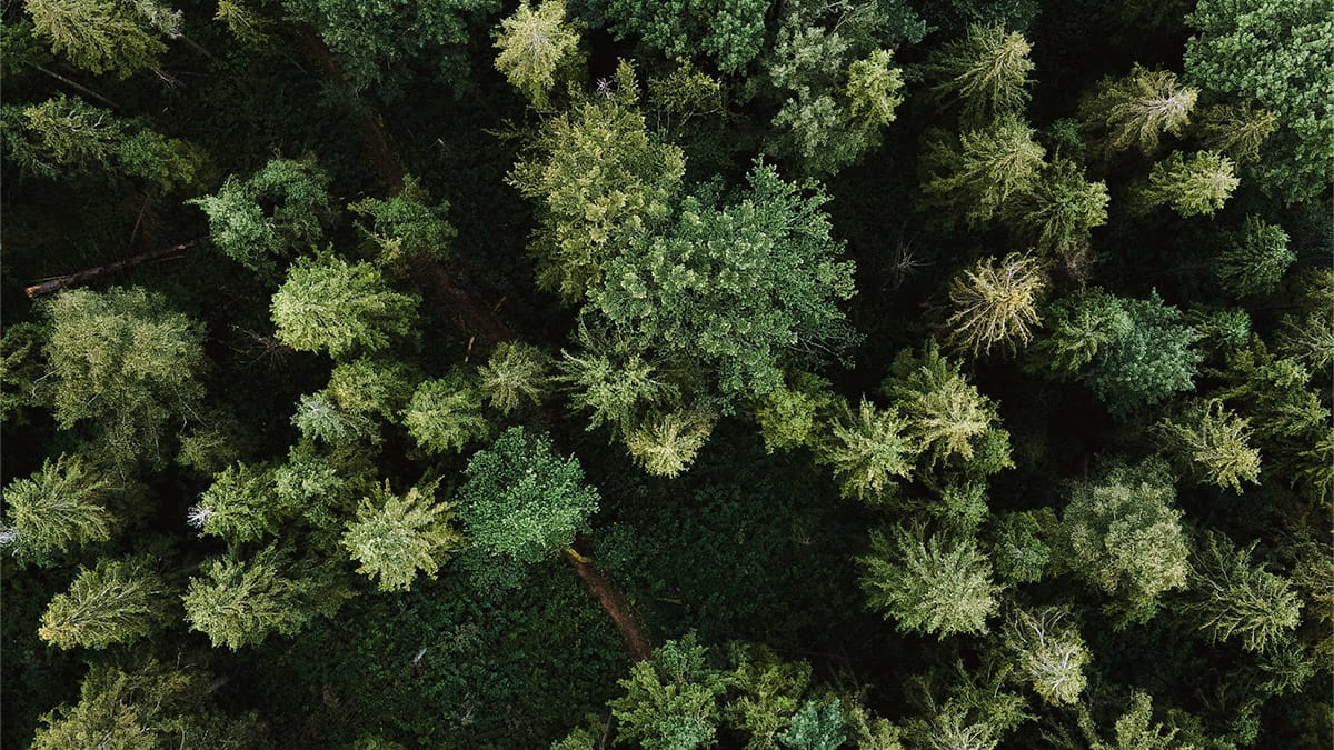 Sustainability