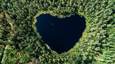 Sustainable at heart