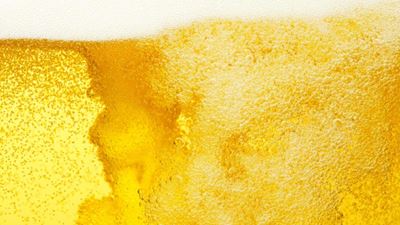 Beer