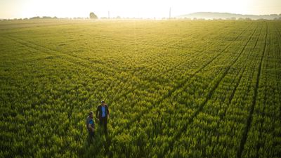 Developing Velike! – An “Oat”venture from the Black Forest