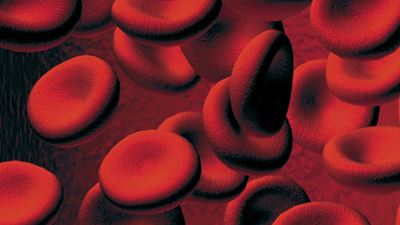 Blood Plasma web