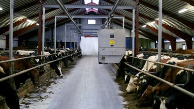 Stehen Tiergesundheit und optimale Futterversorgung im Vordergrund, kommen hohe Milchqualität und Top-Milchleistung fast von allein 