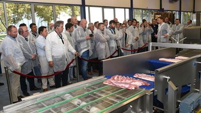 Crafting the future of meat - Multijector