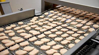 Automated nugget production at Danpro