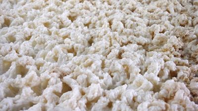 Fermentation process