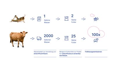 Sustainable food alternatives