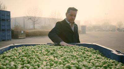 البراعم المجمدة