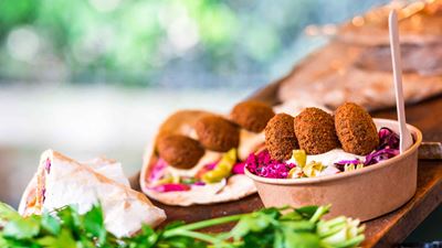 GEA Fleischersatz vegetarische Nahrungsmittel Falafel