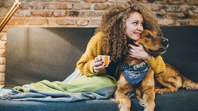 gea-pet-food-consumer-dog