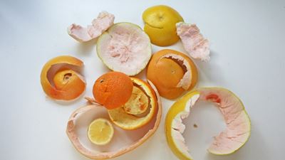 Valorizing citrus and fruit side streams 