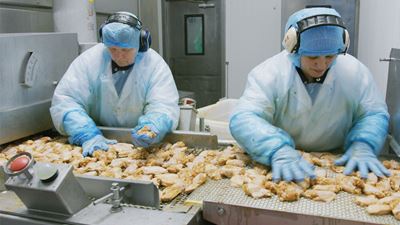 Sorting raw chicken