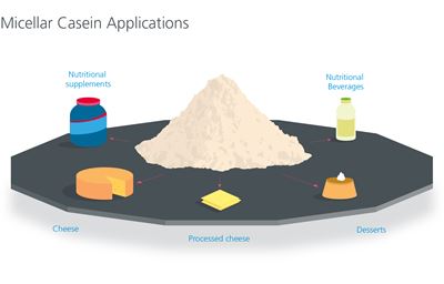 Micellar Casein applications