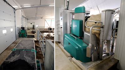 Mark Jeffrey baute einen dreireihigen Freilaufstall mit Sand, zwei GEA DairyRobot R9500 Melkrobotern und GEA Entmistungsanlagen.